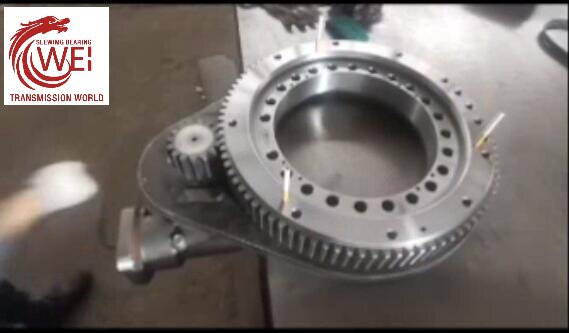slewing bearing transmission test