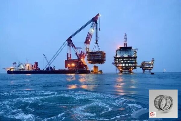 024.40.1800-Double-row-variable-diameter-ball-slewing-bearing-for-Marine-Drilling-Platform-Blue-Whale-2-1