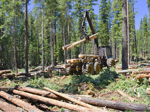 Forestry-mining